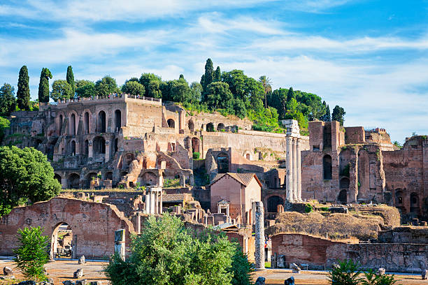 Palatine Hill Banner